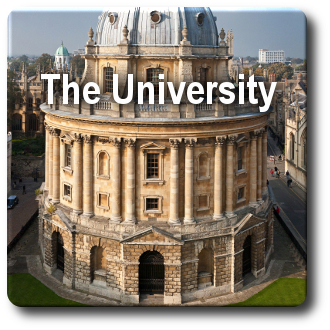 The University